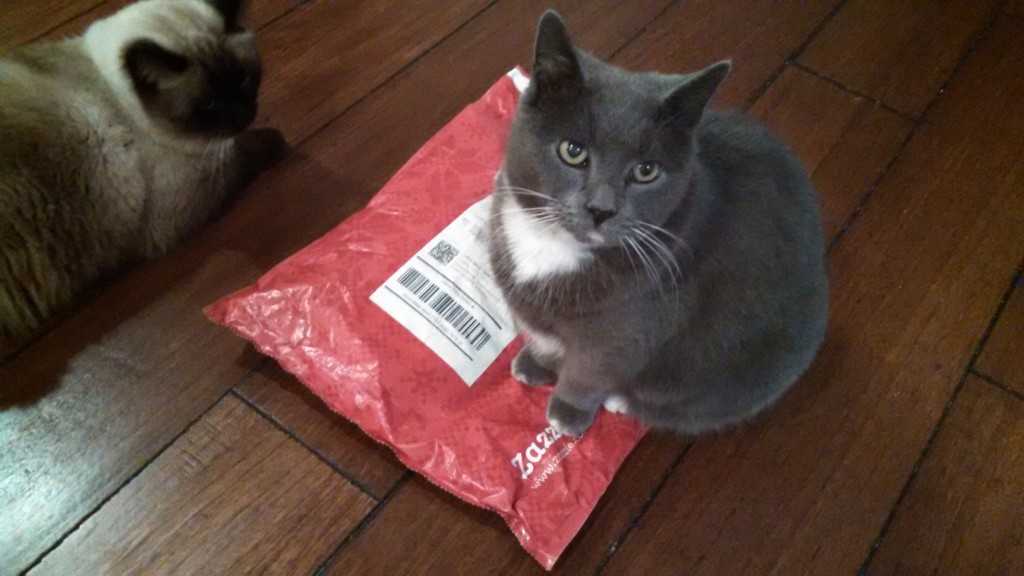 Cycling Tee Shirt Designs