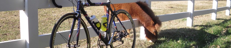 Youngest Person to Cycle Around the World