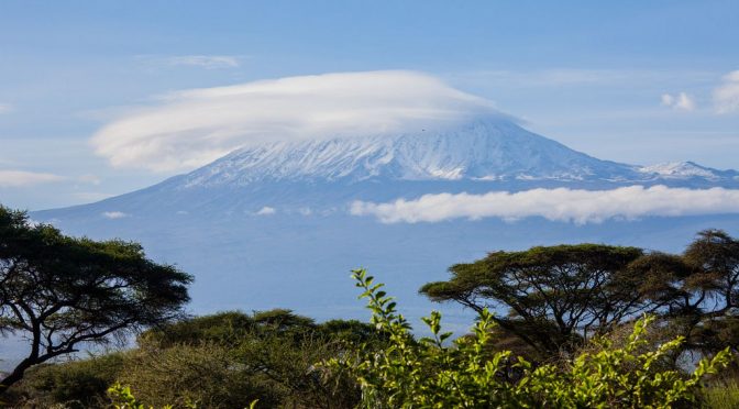 Riding Up Kilimanjaro